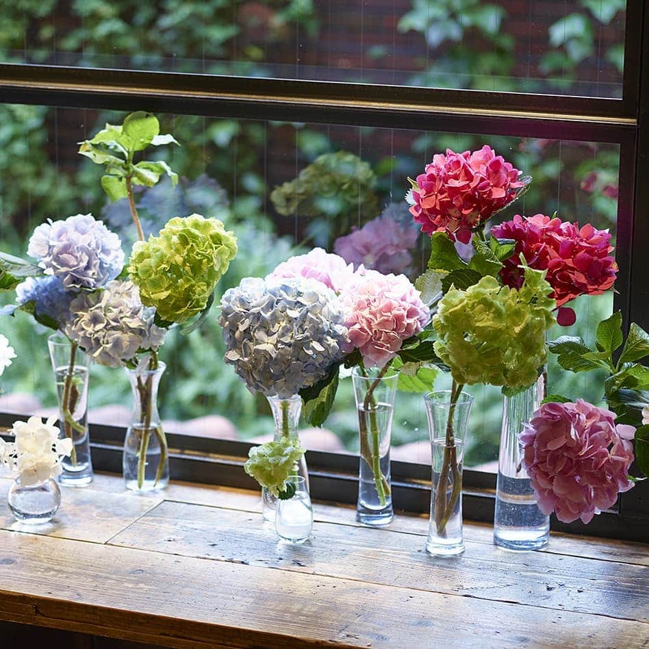 青山フラワーマーケットのグルメインスタ