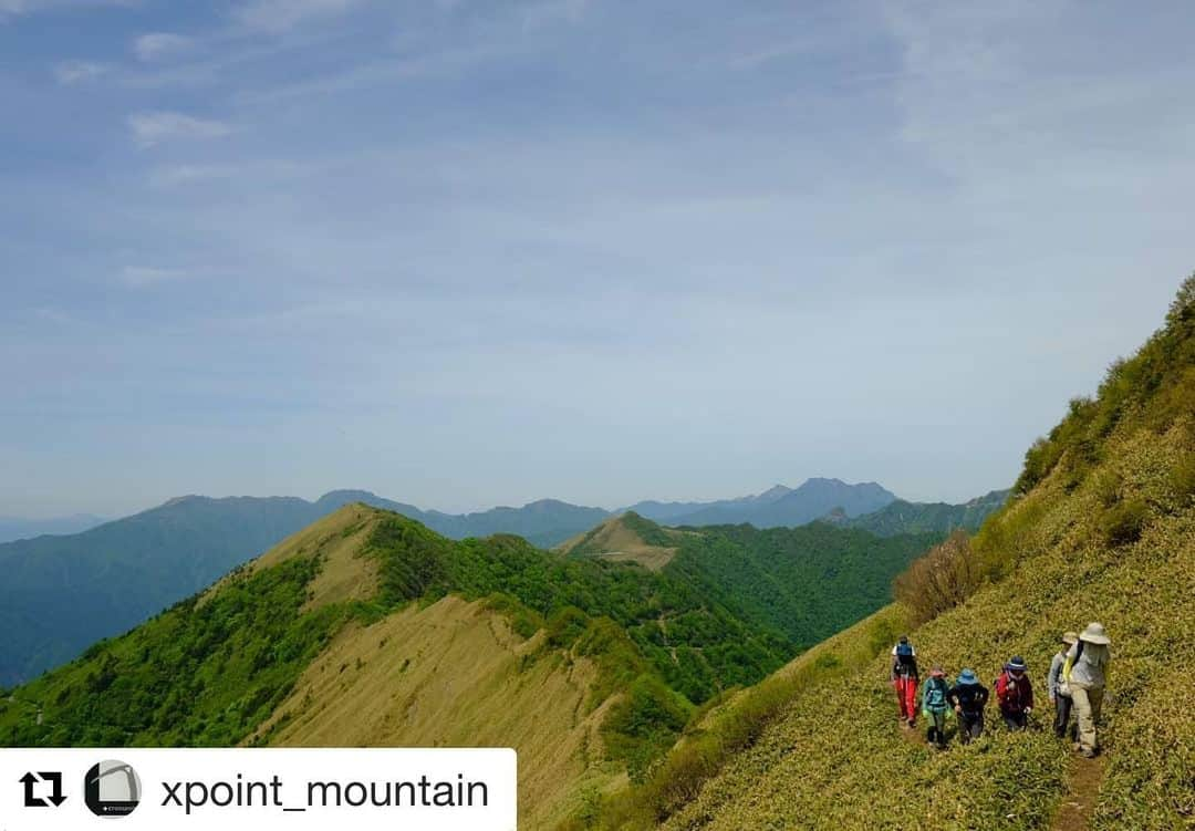 西条市さんのインスタグラム写真 - (西条市Instagram)「#Repost @xpoint_mountain with @get_repost ・・・ しびれる縦走路 表銀座と戦える美しさ  #lovesaijo #東黒森  #xt2 #xf18f2 #fujifilm  四国の屋根から  伊予富士と東黒森の間は 絶景の小径 （しかも登りやすい）  #伊予富士 #東黒森 #石鎚山系 #四国の山 #愛媛の山 #landscape #自然美 #春山 #西条市 #いよ西条 #伊予西条 #愛媛 #四国 #瀬戸内 #Ehime #Shikoku #Setouchi #inaka #田舎暮らし #愛媛旅行 #四国旅行」6月18日 17時41分 - lovesaijo