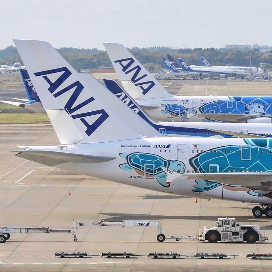 ANAのインスタグラム：「2号機本日就航✈ (Photo：@taromanma）  #ソラマニ_ヒコーキ #a380 #2号機 #カイ #海 #エメラルドグリーン #フライングホヌ #1号機 #ラニ #空 #ANAブルー #ハワイ語 #ハワイ #ホノルル #海外旅行 #ワクワク #夏休み #flyinghonu #kai #sea #emeraldgreen #lani #sky #blue #hawaii #honolulu #japan #internationaltravel #anaairplane #airplane  ANAの飛行機は「#ソラマニ_ヒコーキ」をつけて投稿してね📷インスタやANAの各メディアでご紹介していきます⭐️」