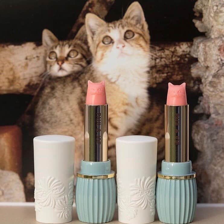 PAUL & JOE BEAUTEさんのインスタグラム写真 - (PAUL & JOE BEAUTEInstagram)「・⠀ While your skin is getting sun-kissed, make sure to protect your lips from getting dry & burning. Our cat-shaped treatment lipstick will do just that with a cool, minty feeling as an added bonus😋💕 ■LIPSTICK UV⠀ SPF25 PA+⠀ ⠀ *Check your local market for availability*⠀ ⠀ #PaulandJoe #paulandjoebeaute #ポールアンドジョー #instagood #summer #summercreation #UVlipstick #UVcut #UVcare #cat #catsofinstagram」6月18日 18時05分 - paulandjoe_beaute