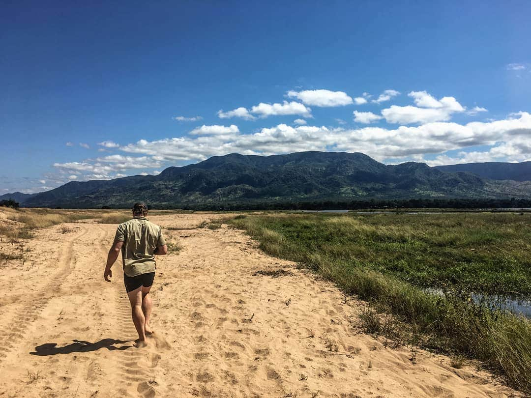 デビッド・ポーコックさんのインスタグラム写真 - (デビッド・ポーコックInstagram)「Where's your favourite place you've trained or exercised? Or what's your favourite gym or place you regularly exercise? . This was taken by @morganeclarke before we did a sand fitness session in Mana Pools National Park. . When I'm in Canberra I love the Brumbies gym, and @praksiscanberra when I'm able to get there. I've been talking to the good people at @ironedgetraining about setting up a home gym for strength and mobility. I'll share some photos when it happens. . . . . #trainingtuesday #rugby #canberra #training #gym #manapools #zimbabwe」6月18日 17時57分 - davidpocock