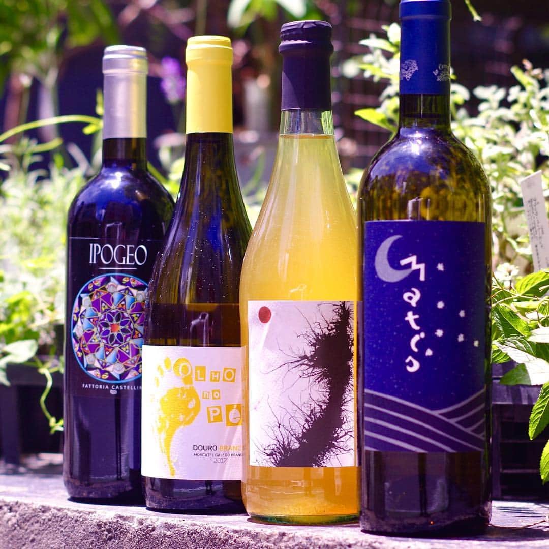 TODAY'S SPECIALのグルメインスタ