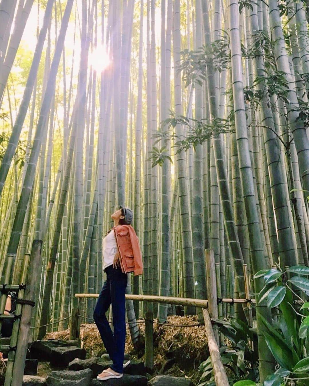 渡辺由布子さんのインスタグラム写真 - (渡辺由布子Instagram)「🎋 ・ #OffDayWellSpent in Kamakura 🚗 w/ @moname.official 👖 ＿＿＿＿＿＿＿＿＿＿＿＿＿＿＿＿＿＿＿＿ オフの日に思いつきで#鎌倉 へドライブ。 竹林が美しい#bambootemple として外国人観光客から絶大な人気を誇る#報国寺 へ。  仕事柄、ほぼ毎日ヨガウェアを着ているので、たまには気分転換にTシャツ＋ジーンズでお出かけ♡  最近出会った #Moname は、#デニム の無限の可能性を感じさせてくれる、デニム好きにはたまらないブランド！  着用している #SLIMSTRAIGHT は、バックスタイルのラインがキレイに見えるよう拘り抜かれたパターンで、誰が履いてももれなく美脚&足長効果◎  次に狙うはオールインワンかサロペット！デニムワンピも魅力的♡  @moname.official のオシャレなインスタをスクロールしていると、あれこれ目移りして困っちゃう。  #デニムONデニム  #ビーサン かよ #鎌倉デート  #日本再発見  #dayoff #dayoffvibes  #rainyseasons  #ootd #coodinate  #denim  #jeans  #flipflops  #daytrip  #greentea  #bamboo #temple  #Japantrip  #DiscoverJapan  #👖 ＿＿＿＿＿＿＿＿＿＿＿＿＿＿＿＿＿＿＿＿＿＿＿＿＿＿ 📍 #Hokokuji #Kamakura #Kanagawa #🇯🇵」6月18日 18時16分 - watanabe_yuko