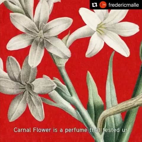 Candlewick Co., Ltd.のインスタグラム