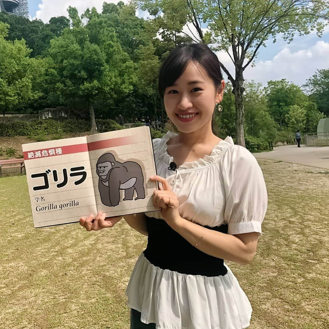 中京テレビ「キャッチ！」さんのインスタグラム写真 - (中京テレビ「キャッチ！」Instagram)「🐨またまた動物マニア芸人、アンタッチャブル柴田さんとロケに‼️ 実は知らない!?動物の秘密を調べてきました🔍﻿ ﻿﻿﻿﻿﻿ ﻿﻿﻿ #ロケわず﻿﻿ #アンタッチャブル #柴田英嗣﻿ #放送は後日﻿﻿ #スター動物ずかん #夕方は土砂降りでした… .﻿﻿﻿﻿﻿﻿﻿﻿﻿﻿﻿﻿﻿﻿﻿﻿﻿﻿ .﻿﻿﻿﻿﻿﻿﻿﻿﻿﻿﻿﻿﻿﻿﻿﻿﻿﻿﻿ .﻿﻿﻿﻿﻿﻿﻿﻿﻿﻿﻿﻿﻿﻿﻿﻿﻿﻿﻿ .﻿﻿﻿﻿﻿﻿﻿﻿﻿﻿﻿﻿﻿﻿﻿﻿﻿﻿﻿ #ctvcatch 📺月～金曜日午後3時48分から生放送﻿﻿﻿﻿﻿﻿﻿﻿﻿﻿﻿﻿﻿﻿﻿﻿﻿﻿﻿ #中京テレビ﻿﻿﻿ #松原朋美﻿﻿﻿﻿ .﻿﻿﻿﻿﻿﻿﻿﻿﻿﻿﻿﻿﻿﻿﻿﻿ .﻿﻿﻿﻿﻿﻿﻿﻿﻿﻿﻿﻿﻿﻿﻿﻿﻿﻿﻿ 👀目撃情報などはプロフィールのリンク内『投稿BOX』へ﻿﻿﻿﻿﻿﻿﻿﻿﻿﻿﻿﻿﻿﻿﻿﻿﻿﻿﻿ 🐦Twitter→@ctvcatch」6月18日 18時35分 - ctvcatch