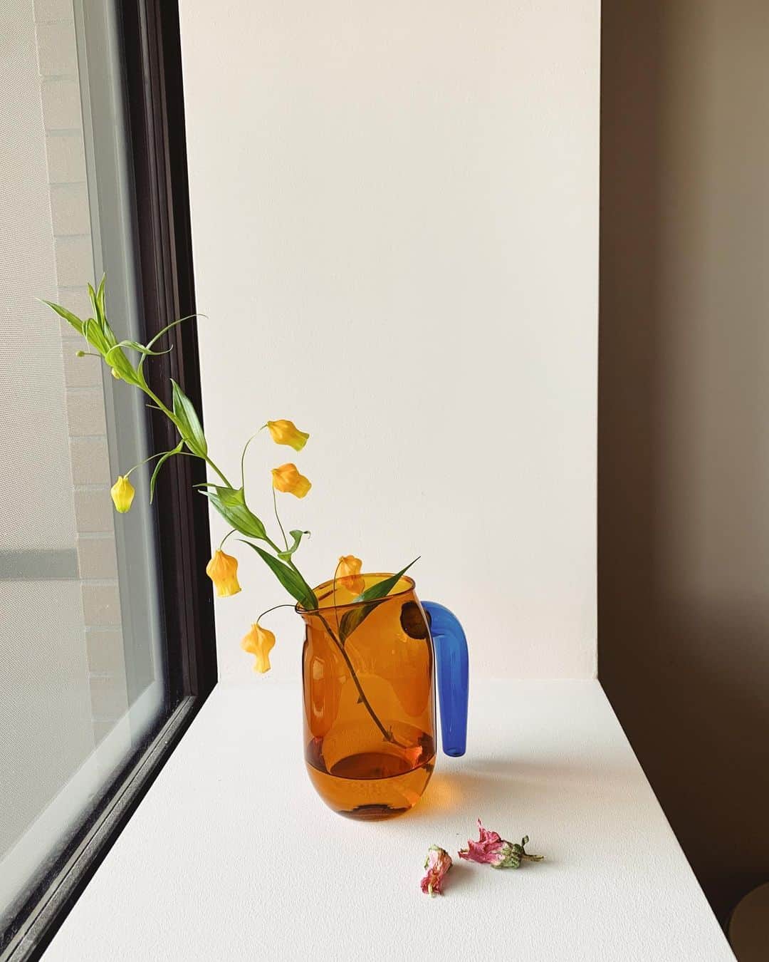 花盛友里さんのインスタグラム写真 - (花盛友里Instagram)「新しい花瓶って幸せになるぅー！ 撮影で羽根木のマルタさんってゆう素敵すぎるお花屋さんに行ったら発見した可愛い花瓶。 早速ゲットしてしまったーうれし！」6月18日 18時52分 - yurihanamori