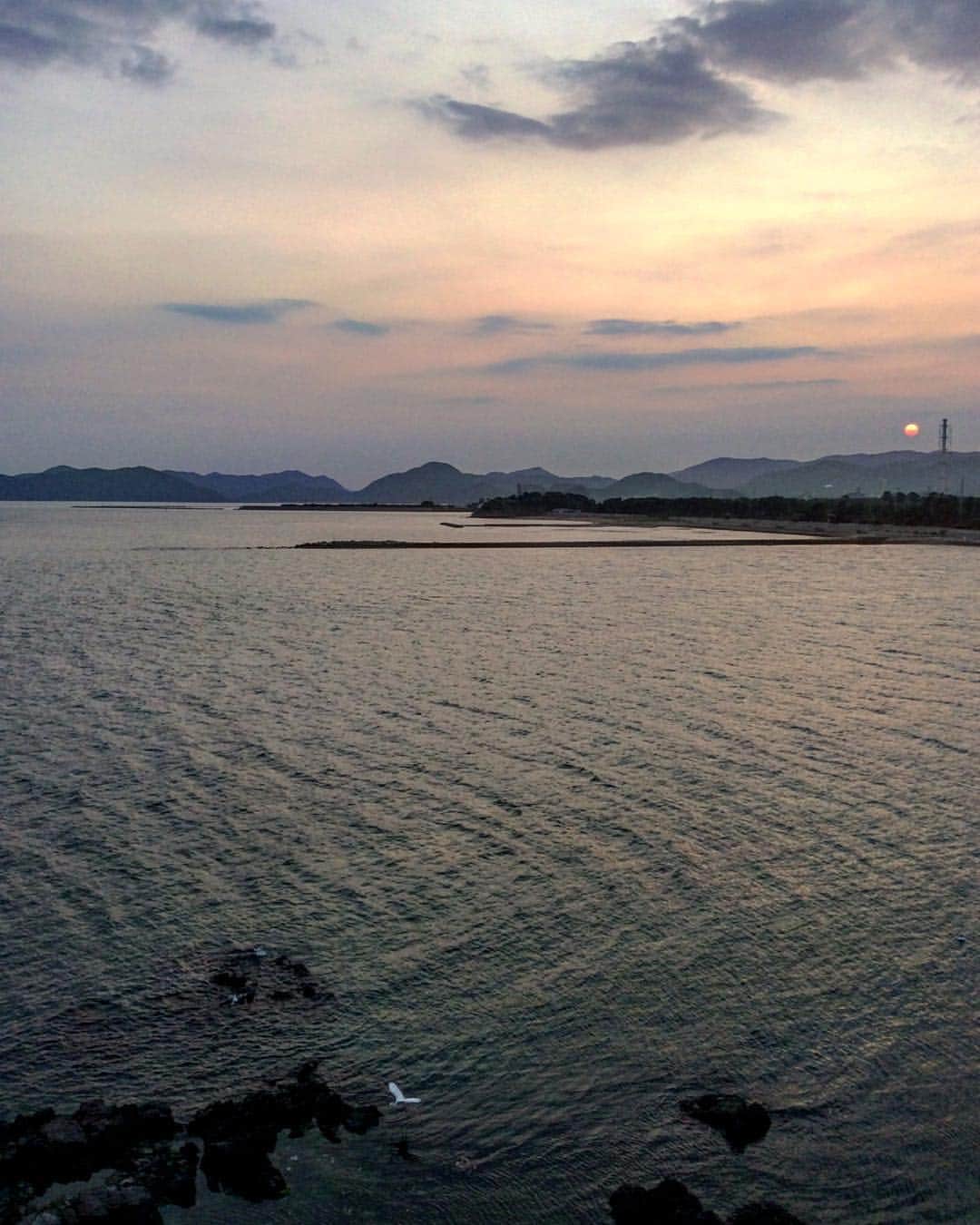 祥吉のグルメインスタ