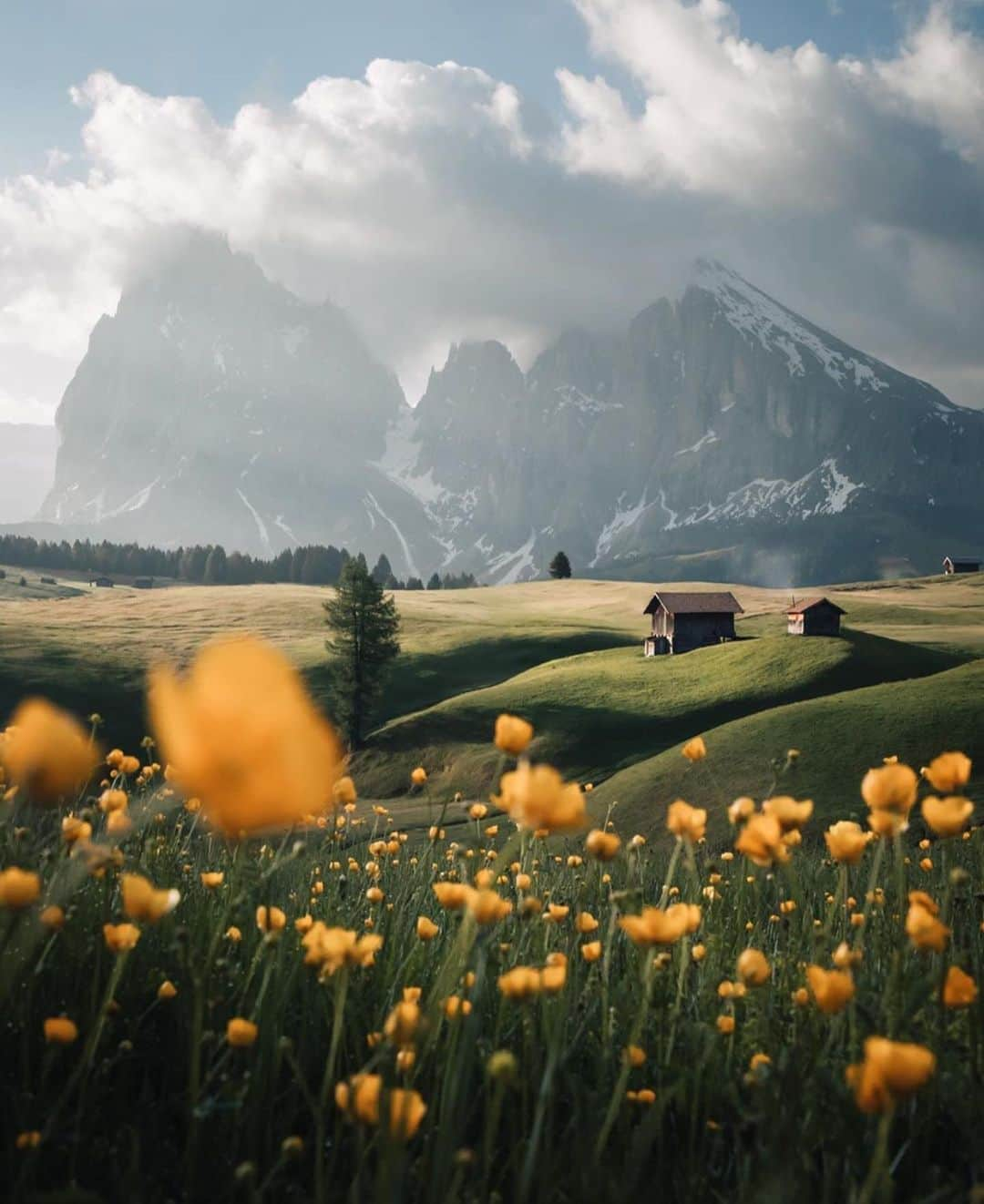 Canon Photographyさんのインスタグラム写真 - (Canon PhotographyInstagram)「Photography | @jordhammond  Canon 5D Mark IV #cpfeatureme #mounatins #dolomites」6月18日 19時35分 - cpcollectives