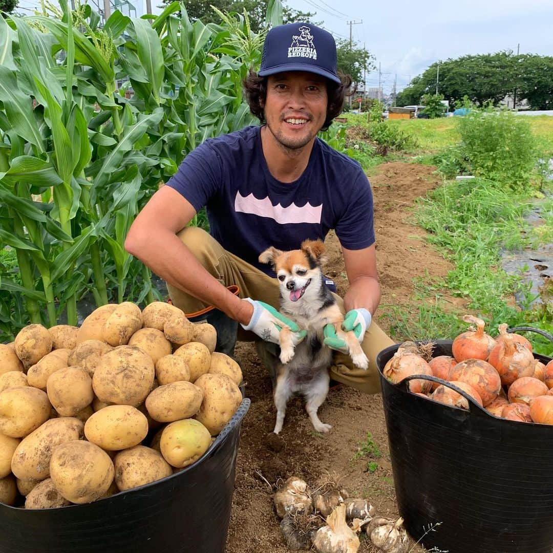 三浦理志さんのインスタグラム写真 - (三浦理志Instagram)「今年の新ジャガ大玉でハンパないっす！ 玉ねぎもニンニクも最高〜！ 夏野菜たちもスタートしましたね！ 豊作です❗️👍 SURF&NORF #surfandnorf #farm #farmer #vegetables #potato #onion #garlic #畑 #野菜 #農夫 #じゃがいも #玉ねぎ #ニンニク #夏野菜 #豊作」6月18日 19時44分 - mar4m