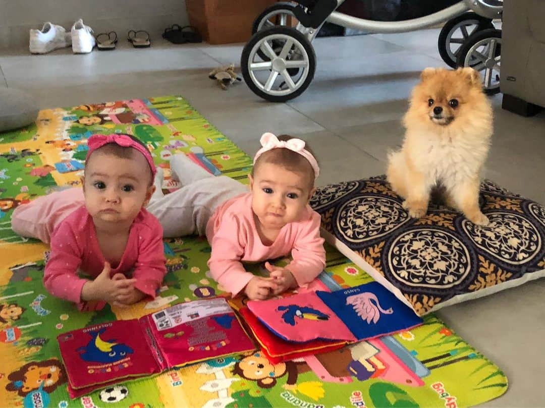 シェイラ・カストロのインスタグラム：「Bom dia com minhas meninas!!! 👧🏻👧🏼🐶 #albumdalizeninna #canelinha #muitoamor」