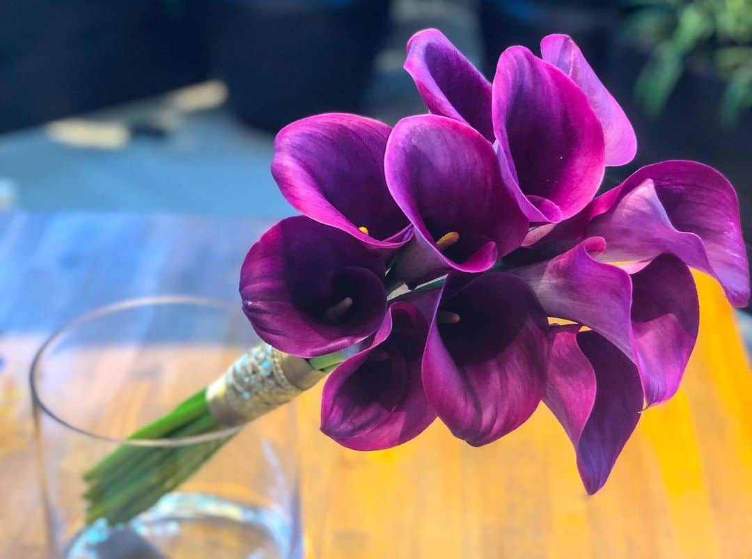 【公式】アルカンシエルリュクスマリアージュ名古屋さんのインスタグラム写真 - (【公式】アルカンシエルリュクスマリアージュ名古屋Instagram)「. 【ウエディングブーケ💐】 * * ウェディングブーケの花材として定番のお花の種類“カラー”✨ ギリシア語で美しいを意味する「calla」に由来し、「華麗なる美」という花言葉を持つだけあって、凛とした美しい佇まいが魅力のお花です❤️ * *‬ ほんのり色づいたカラーは、凛とした雰囲気はそのままに、イマドキでおしゃれな印象🙆🏻‍♀️◎ * * クラシカルさとトレンドを併せ持つ、おしゃれなお花の種類です❤️ * * * ホームページにて ウエディングレポートやブログなど 様々な情報を掲載しております😊✨ ぜひご覧くださいませ🎶 . . #ブーケ #カラー #ウエディングブーケ #花言葉 #アルカンシエルluxemariage名古屋 #アルカンシエルリュクスマリアージュ名古屋 #アルカンシエル #結婚式 #結婚式準備 #名古屋花嫁 #結婚式場探し #ウェデイングドレス #プレ花嫁 #卒花嫁 #wedding #ウェデイングレポ #日本中のプレ花嫁さんと繋がりたい #marry花嫁 #marryxoxo #プラコレ #dressy花嫁 #2019春婚 #2019夏婚 #2019秋婚 #2019冬婚 #結婚式レポ #ウェルカムスペース #キヨコハタ #アルカン花嫁」6月18日 20時23分 - arcenciel.luxenagoya