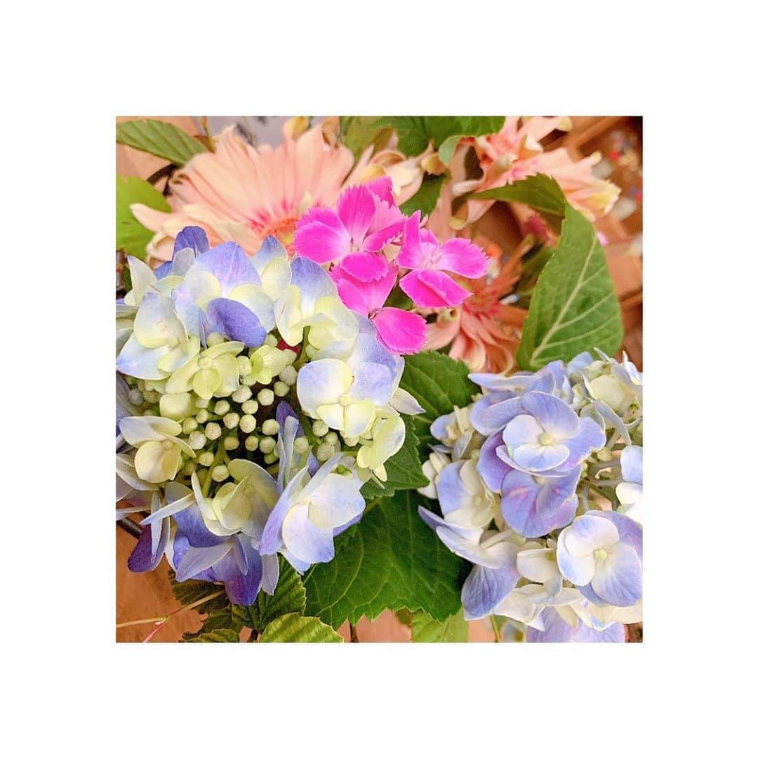 桜庭ななみさんのインスタグラム写真 - (桜庭ななみInstagram)「今日はお仕事の現場に紫陽花が。﻿ 梅雨の季節だな〜今。って改めて感じました！﻿ でも梅雨が過ぎたら大好きな夏がきます☀️﻿ 今年の夏はどんな夏になるかな〜﻿ ﻿ ﻿ #紫陽花﻿ #夏」6月18日 20時33分 - nanamisakuraba_official