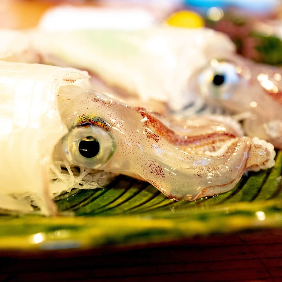 武井義明のグルメインスタ