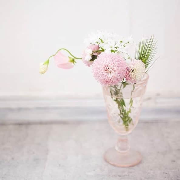 Bloomee LIFEさんのインスタグラム写真 - (Bloomee LIFEInstagram)「・ お気に入りのカラーで作る、自分だけの空間🌸 ・ ピンクのお花に合わせた、ピンクの花瓶。 お気に入りのカラーで作った空間を眺めて リラックスの一時を… ・ Special Thanks Photo by⠀⠀ @unu525 ・ --- #まいにちローズ 🌹---⠀ タイムラインにバラを咲かせて、まいにち当たるミニブーケをもらおう！⠀ ・⠀ 知っていますか？6月2日はローズの日💓⠀ ローズの日は、自然の恵みに感謝を示す、海外のバラ祭りが元になった記念日です。⠀ 日本でも、バラが美しく咲くこの季節。⠀ たくさんの人にお花の素晴らしさを伝えたい。⠀ ・⠀ バラの画像を投稿して、Instagramのタイムラインに咲かせることで、⠀ お花の魅力を一緒に広めてみませんか？⠀ ・⠀ 詳しくは下記 or プロフィールトップのハイライトをチェック👌⠀ ↓↓↓⠀ ■プレゼント：#まいにちローズ で投稿した人の中から抽選で【まいにち1人にバラのミニブーケ】が当たる✨⠀ ■参加方法：⠀ ①@bloomeelife をフォロー⠀ ②欲しい色のバラ画像を用意(キャンペーン公式ページで誰でも使えるオフィシャル画像を配布中)⠀ ③#まいにちローズ #bloomeelife を付けて投稿 ・⠀ 当選者の方にはbloomee LIFE 公式アカウントよりDMにてご連絡させていただきます💌⠀ ・⠀ #bloomeelife#ブルーミーライフ#花のある生活#花好きな人と繋がりたい#おうち時間#花部#花写真#花が好き#花を飾る#暮らしを楽しむ#日々の暮らし#丁寧な暮らし#日々#お花のある暮らし#ナチュラル#素敵な休日#暮らしを整える#くらしのきほん#日々の暮らしを楽しむ#丁寧に暮らす#カフェ巡り#コーヒー好き#カフェ好き#リノベーション#シンプルインテリア#シンプルな暮らし#ホワイトインテリア#ミニブーケ#フラワーベース」6月18日 20時35分 - bloomee