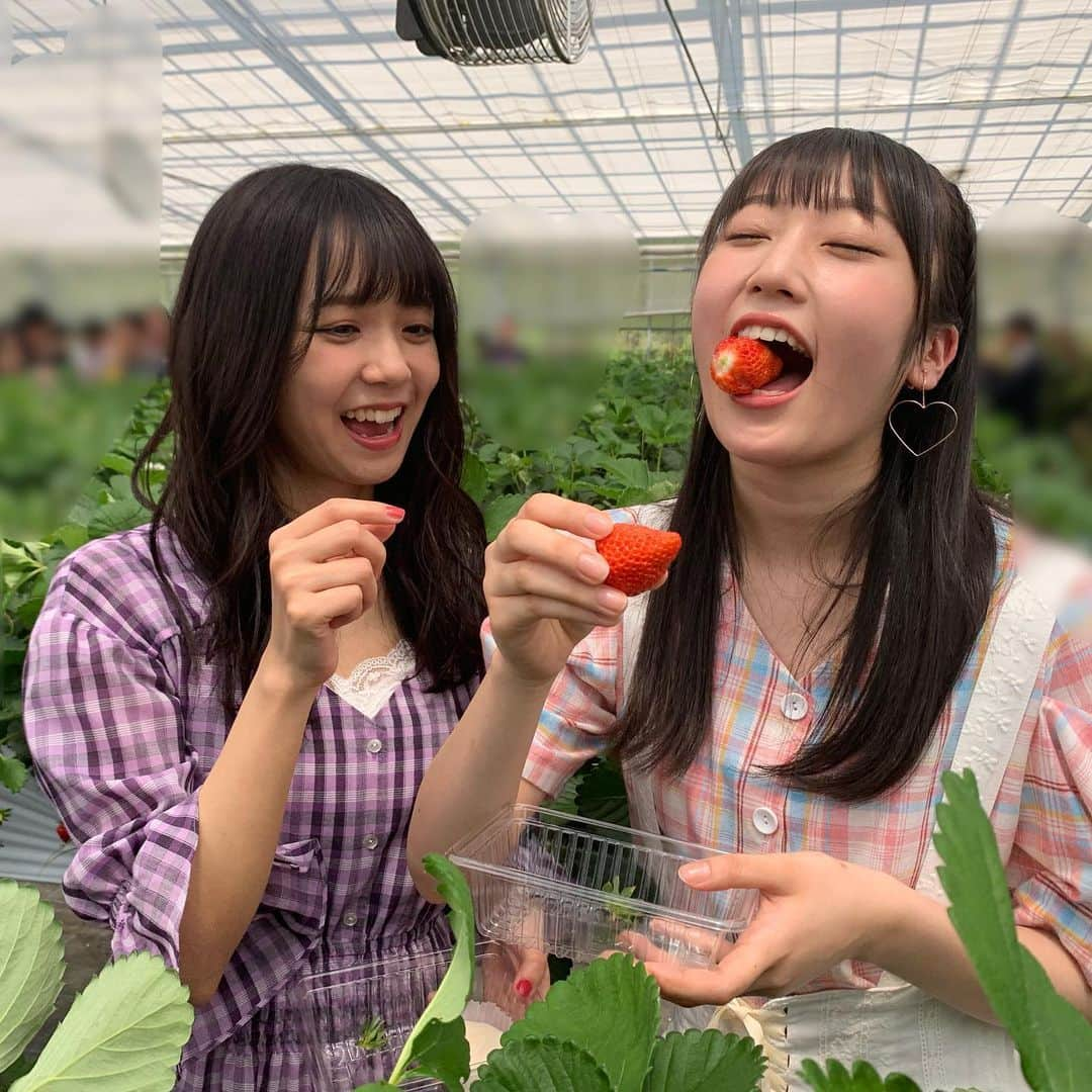 Juice=Juiceさんのインスタグラム写真 - (Juice=JuiceInstagram)「#juicejuice ﻿ #宮崎由加 ﻿ #金澤朋子 ﻿ #高木紗友希 ﻿ #宮本佳林 ﻿ #植村あかり ﻿ #段原瑠々 ﻿ #稲場愛香 ﻿ #工藤由愛 ﻿ #松永里愛 ﻿ ﻿ #宮崎由加卒業スペシャル ﻿ #ありがとうございました ！！﻿ ﻿ #juicefull ﻿ #ゆかにゃ永遠説 ﻿ で感想をTwitter、Instagramにて呟いてください！」6月18日 20時48分 - juice_juice_official