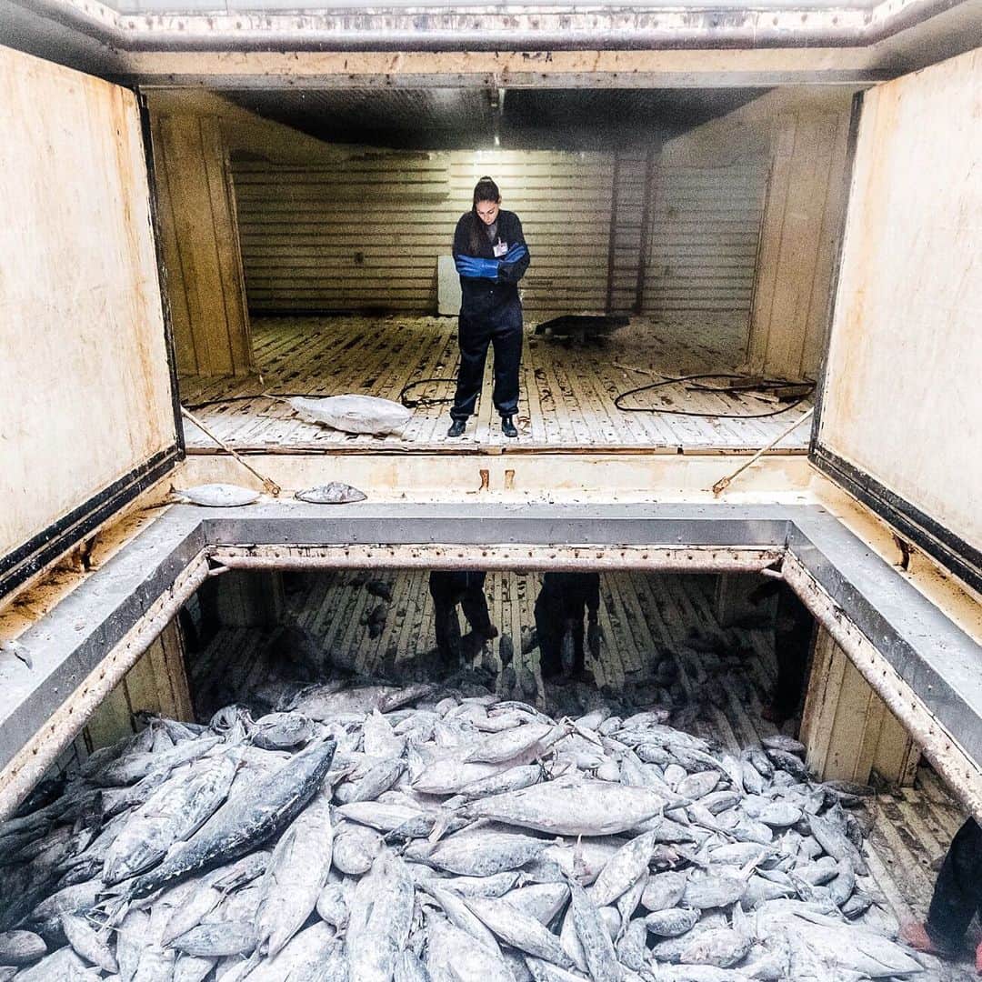ヴァレンティン・トーマスさんのインスタグラム写真 - (ヴァレンティン・トーマスInstagram)「The port of Majuro, Marshall Islands is currently full of fishing vessels with capped coolers. The fishing has been great since the measures implemented by the PNA (Parties Nauruu Agreement) were terminated (closure of FADs, fishing aggregation devices). Long story short, the supply is greater than the demand and the buying price is low so the vessels are holding on to their stocks until it changes. The costs of the wait for a boat full to keep up to 1,000 tons of frozen fish is between 10,000$-20,000$. Overfishing isn’t due to overpopulation, but rather greed of a well-oiled machine worth billions of dollars. Link in my bio to a great blog by @franciscoblaha discussing those issues. Thank you @hilary.robyn for reaching out!! 📷 @anthonyjrayburn taken on a trip with the @mscbluefish doing a good job at monitoring sustainable fisheries in the region.」6月19日 2時23分 - valentinethomas