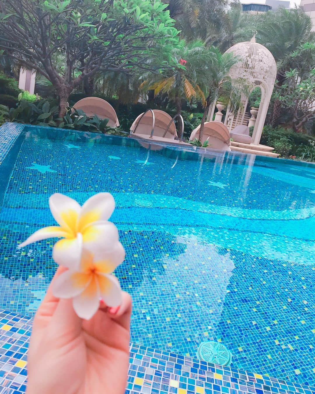 DJ MIYAさんのインスタグラム写真 - (DJ MIYAInstagram)「やっほぉ❤️こんばんにゃぁ❤️先週の、 #台北 ひとり旅の⭐︎お気に入りプールshot❤️ . .  in Mandarin Oriental Taipei💗 .  #ホテルプール #リゾート #プール #水着 #ビキニ #MandarinOrientalTaipei #マンダリンオリエンタル台北 #台北文華東方酒店 #ラグジュアリーホテル #台北旅行　#台湾　#台北女子旅　#台湾一人旅　#旅インスタグラマー　#旅ブロガー  #台湾女子旅  #taipei #マンダリンオリエンタルホテル #ホテル好き　#今日のコーデ #水着  #ファッションコーデ　#今日のメイク　#今日のコーディネート　#タビジョ　#海外旅行好き #台湾旅行 #旅大好き #高級ホテル #マイトリップMIYA」6月18日 20時58分 - dj_miya