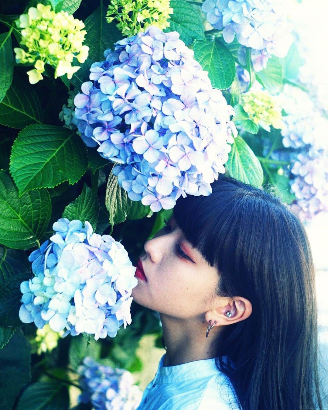Hinaさんのインスタグラム写真 - (HinaInstagram)「ㅤㅤㅤㅤㅤㅤㅤㅤㅤㅤㅤㅤㅤ ㅤㅤㅤㅤㅤㅤㅤㅤㅤㅤㅤㅤㅤ . ㅤㅤㅤㅤㅤㅤㅤㅤㅤㅤㅤㅤㅤ photo @toy.tokyo  #faky #fakyhina #avex #amg #portrait #camera  #카메라 #포트레이트 #紫陽花」6月18日 21時07分 - hina_faky