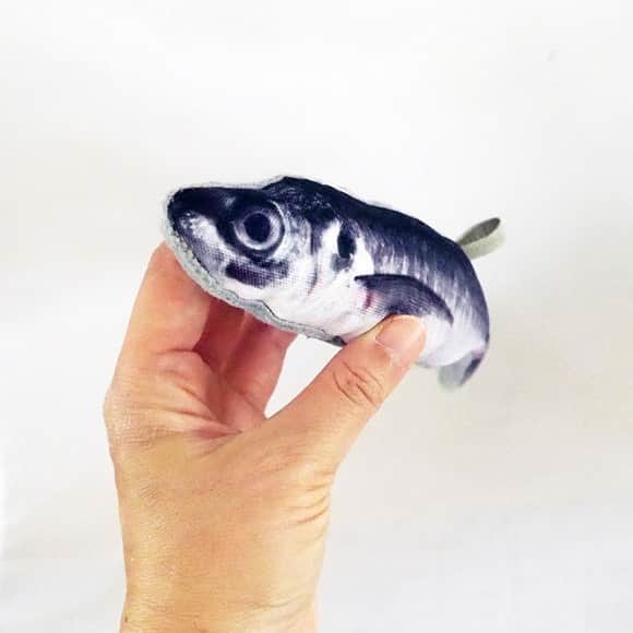 のインスタグラム：「新鮮なお魚入ってますw　masacova!さんのベイビー＆ペットのおもちゃ、にぎにぎシリーズ再入荷してますよ〜ちょっとしたお土産＆プレゼントにわははと笑える逸品です🎶  #masacova #にぎにぎ #niguinigui #アジ #鯵 #babytoy #pettoy」