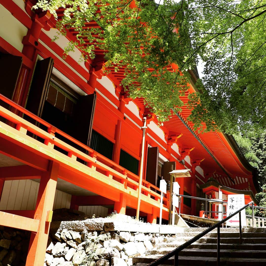 テレビ大阪「おとな旅あるき旅」さんのインスタグラム写真 - (テレビ大阪「おとな旅あるき旅」Instagram)「今週のおとな旅あるき旅（テレビ大阪）は、滋賀 比叡山から大津へ！歴史と美食の夏さんぽです。  世界遺産 比叡山延暦寺で心洗われ、朱色のお堂に映える緑に癒される。そして大津の宿場町で湖の恵みを頂きます！お楽しみに！  6/22(土)18:30〜  #おとな旅あるき旅#テレビ大阪#三田村邦彦#川北円佳#滋賀#比叡山延暦寺#大津#世界遺産#写経発祥#宿場町」6月18日 22時04分 - tvo.otonatabi