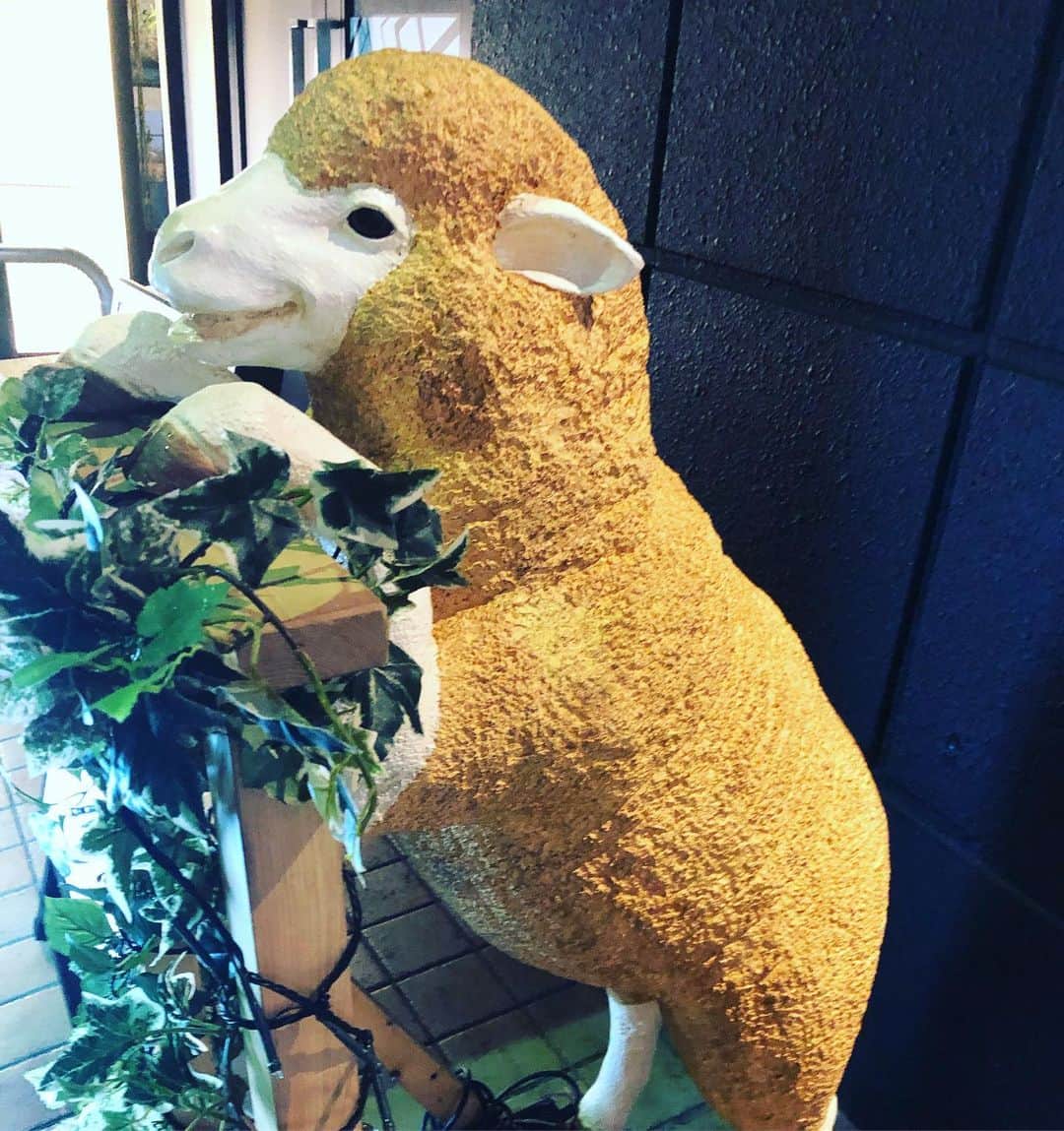 阿部洋子さんのインスタグラム写真 - (阿部洋子Instagram)「🐑 先週、夜散歩で出会ったヒツジくん。 #夜散歩 #羊 #date」6月18日 22時17分 - hirocoring