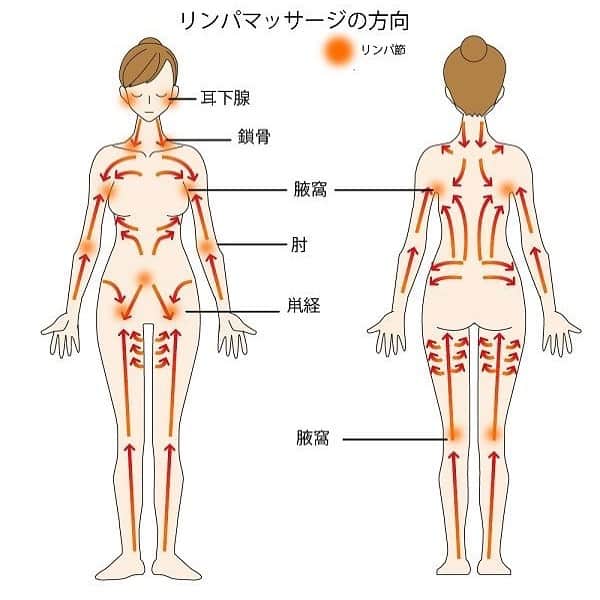 kogao283さんのインスタグラム写真 - (kogao283Instagram)「リンパの循環が悪いと、むくむ、冷える、といった症状以外にもいろいろな自覚症状が出てきます。  末梢にある毛細リンパ管は、皮膚やその下の皮下組織の中にあり、偏った姿勢や動かない生活のなかで、皮膚や筋膜がなめらかに動かなくなると、特に動きの少ない一部分がひきつれ、そこに老廃物や余分なリンパ液がたまります。このひきつれによって末梢神経が圧迫を受けると、しびれが出たり、ぴりぴりした痛みが生じます。  ひきつれた場所は脂肪も代謝されにくくなり、ずっと居座る……これが太ももやお尻にできるセルライトです。脂肪が居座ることによって脂肪が毛細リンパ管を押しつぶし、さらに循環が悪化、というプロセスでセルライトは定着していきます。  むくみに悩んでいる人の中には、夜寝ているときや明け方に足がつる、という人が意外に多いんです。  ちょっと専門的な話になりますが、筋肉を縮めるにはカルシウムが必要で、緩めるにはATP（アデノシン三リン酸）という物質が必要です ATPは代謝に欠かせない物質で、酸素を材料に作られるのですが、循環が悪い状態だと血液が酸素不足となり、ATPも不足します。  すると、筋肉を縮める力ばかり強くなってきます。日中はある程度体を動かしているからいいものの、夜間に同じ姿勢で寝ていると、筋肉がさらに硬くなる。しかし、ATRがないものだから筋肉を緩められず、縮んだ状態で痙攣する、これが「足がつる」という状態です。 つったときには、応急手当として、その縮んでいる筋肉を伸ばす方向にゆっくりストレッチするのがお薦め。根本解決するには、全身のリンパの循環を高める体操が効果的です。」6月18日 22時22分 - kogao283