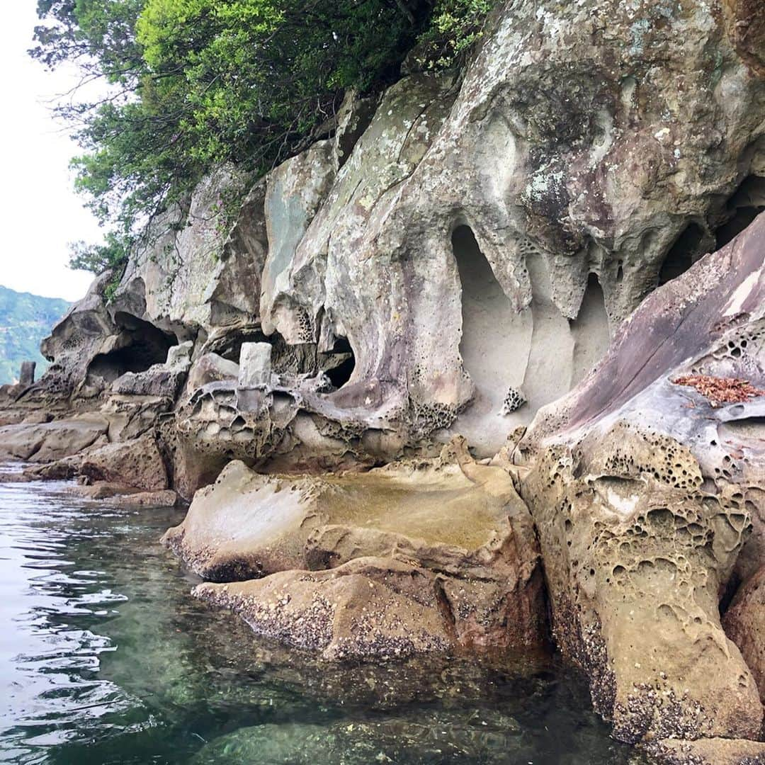 田中律子さんのインスタグラム写真 - (田中律子Instagram)「岩手から徳島へ😆 TOKAIケーブルネットワーク 『田中律子の旅するSUP』ロケで徳島と高知の県境の海へ🏄‍♀️ 海の上で、徳島→高知→徳島→高知→徳島😂県境をSUPで越えたり戻ったり、初体験🙌 海水も綺麗だし、岩肌が面白く見応えがあり楽しかったー👍珊瑚もたくさん育ってて、素晴らしい環境でした♥️ 明日は鳴門海峡の渦潮のそばを旅するSUPします🤙  #tokaiケーブルネットワーク  #田中律子の旅するsup  #旅sup  #sup  #starboardjapan  #roxyjapan  #beachlife」6月18日 22時24分 - ri2kotanaka