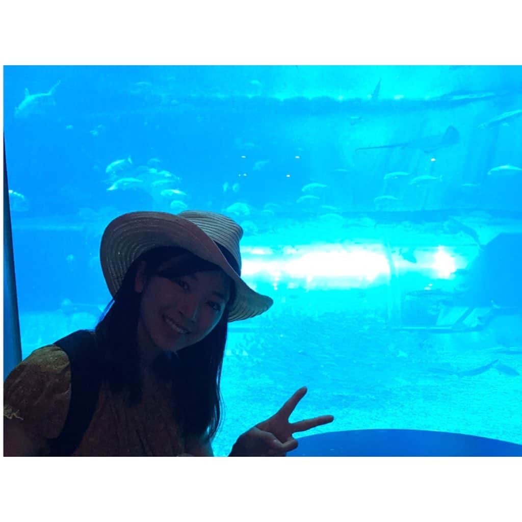 寺島咲のインスタグラム：「逆光ですが美ら海水族館！（笑）#美ら海水族館#沖縄#水族館#カフェ#オーシャンブルー#黒潮の海」