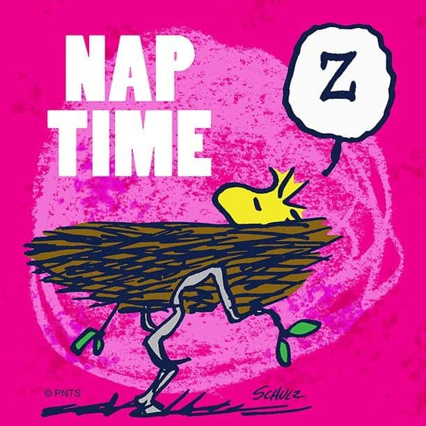 スヌーピーさんのインスタグラム写真 - (スヌーピーInstagram)「Nap-time is the best time 💤」6月18日 22時57分 - snoopygrams