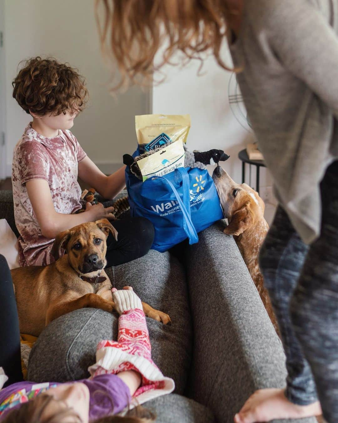 マディさんのインスタグラム写真 - (マディInstagram)「Enjoyed the creative freedom on this project with @Walmart and @BlueBuffalo, and for sure always enjoy the process of capturing Maddie in her element. And I’m def still digging the curb side grocery pickup. Make your order online, pick a time, swing by and grab it. Works great for us! #sponsored #BlueBuffalo #WalmartGroceryPickup」6月19日 0時12分 - thiswildidea