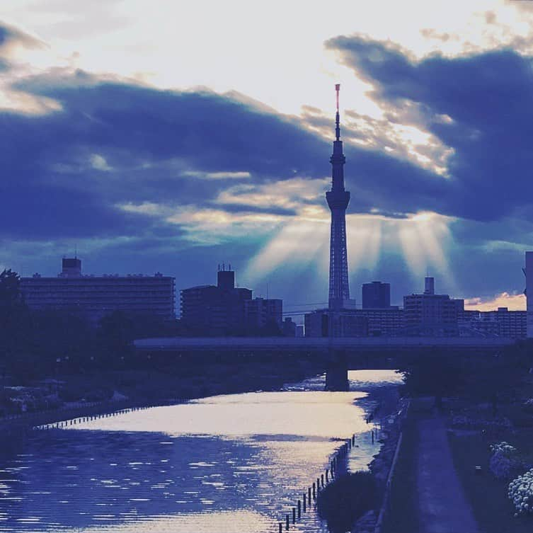 田村有紀さんのインスタグラム写真 - (田村有紀Instagram)「後光指すスカイツリー . . . . #カメラ #写真 #風景 #風景写真好き  #カメラが好き #写真散歩 #写真撮ってる人と繋がりたい  #撮影 #photograph  #photoshoot #photo #photographie #スカイツリー #平井 #京成立石 #新小岩」6月19日 0時14分 - tamurayuuki_