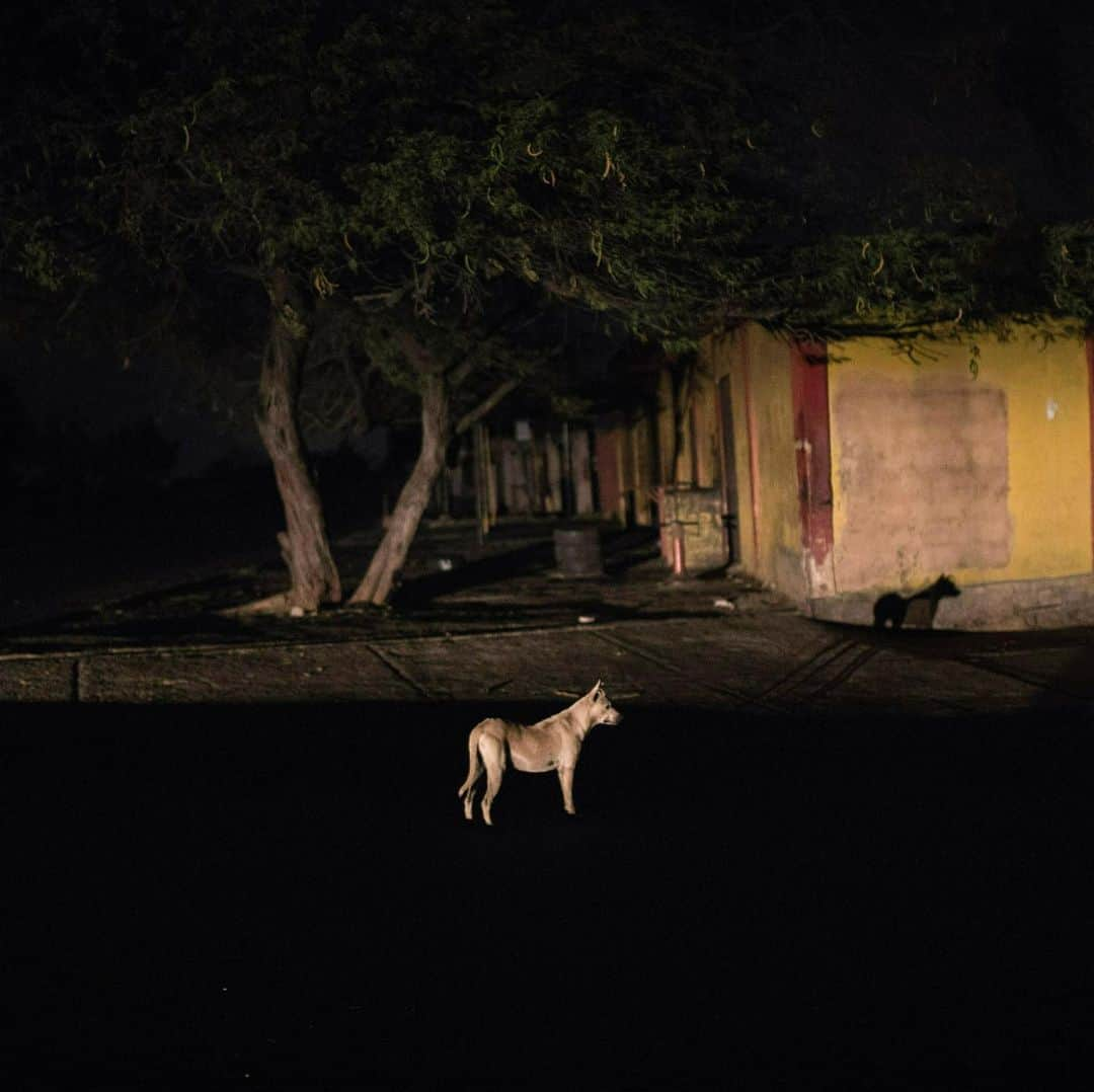 TIME Magazineさんのインスタグラム写真 - (TIME MagazineInstagram)「#Venezuela’s unprecedented energy crisis has left residents of its second largest city, #Maracaibo, without power for long periods in the past three months. In these photographs in May, people sleep on the sidewalk to escape the sweltering heat there and a dog is illuminated by a car during a blackout. Photographs by @abdrodrigo—@apnews」6月19日 11時14分 - time