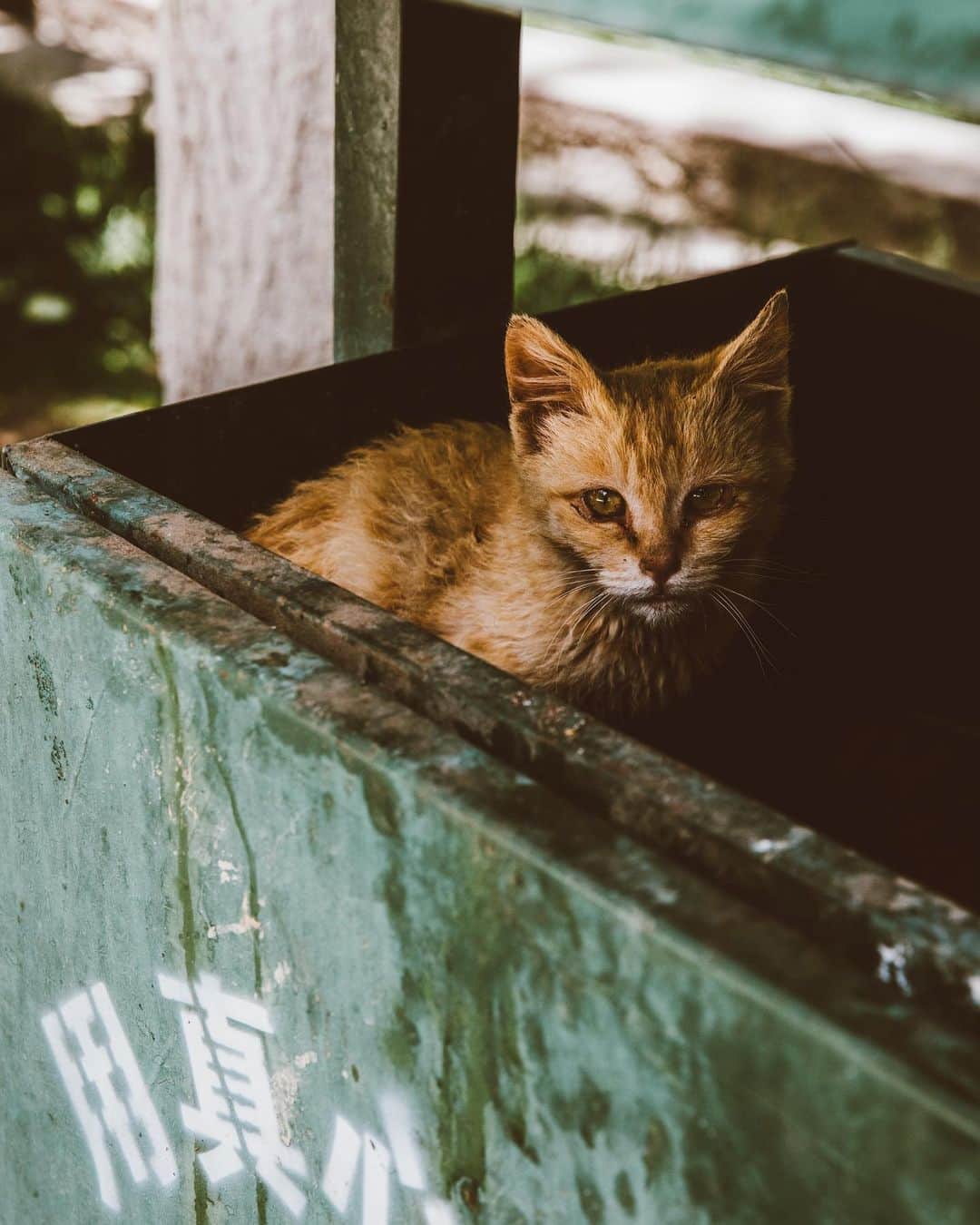 trashのインスタグラム