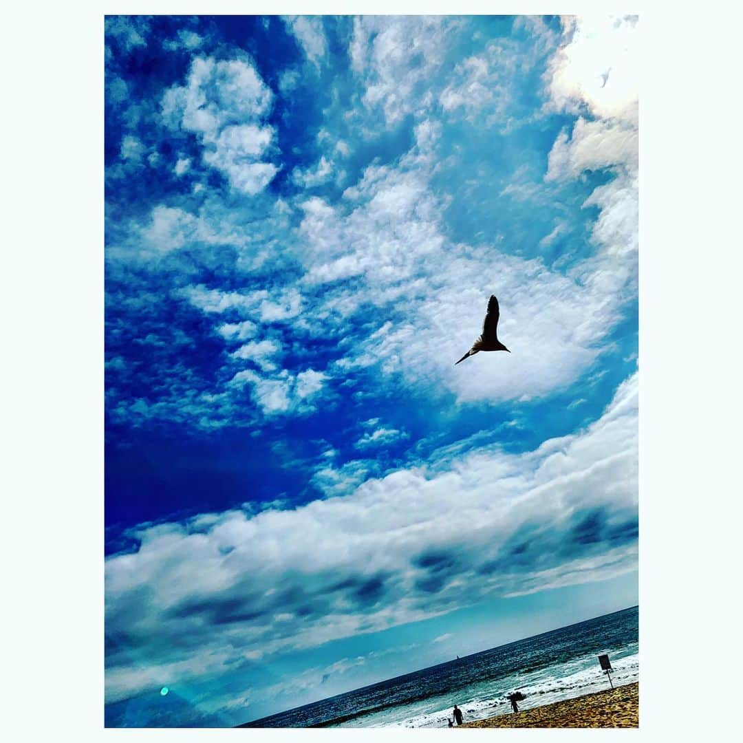 MINMIさんのインスタグラム写真 - (MINMIInstagram)「昨日の青空。 自由な空を 自由な鳥をみると 心が自由になる  こんな風に自由になりたいなって 思うの。 いつだって本当は自由なのにねw こうしなきゃあーしなきゃって、どうなるの？って、いっぱい考えて頑張ってること。時々、それ、やめてみる。 もっと自由にやってみよっ♪ もっと気楽に楽しんでみよっ 意外とうまくいかもしれないっ てね w  #考えずやってみるとうまくいく事もある #型や常識を外すと超えれたりする壁もある #freedomvibes」6月19日 3時37分 - minmidesu