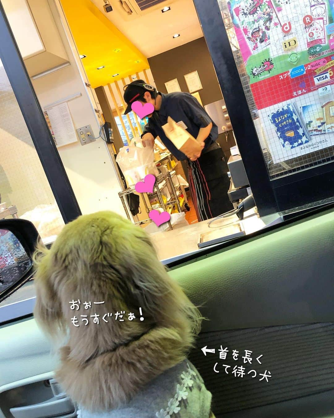 チズさんのインスタグラム写真 - (チズInstagram)「マロ君🐶お得情報🍟 ありがとう💖  #ドライブスルー  #マクドナルド #みんなの味  #マックフライポテト  #全サイズ150円  #マクド #店員さん 🔰🐶に優しい💯  #Mダックス#ダックス#ミニチュアダックス #親父犬#シニア犬#ミニチュアダックスフンド #ミニチュアダックスクリーム#短足部 #短足犬#カニンヘンダックス #ダックス13歳#カニンヘンダックスフンド#犬は家族#犬のいる生活#犬とお出かけ#インスタでわんこみるのが日課 ♡♡」6月19日 4時30分 - sqi.chizu