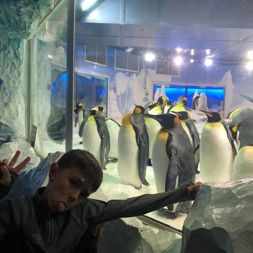メリッサ・ジョーン・ハートさんのインスタグラム写真 - (メリッサ・ジョーン・ハートInstagram)「Just chilling in Auckland. Thanks to #kellytarltonssealifeaquarium for letting us feed the fishies! Loved the Antarctic exhibit especially! @sealifekellytarltons」6月19日 4時30分 - melissajoanhart