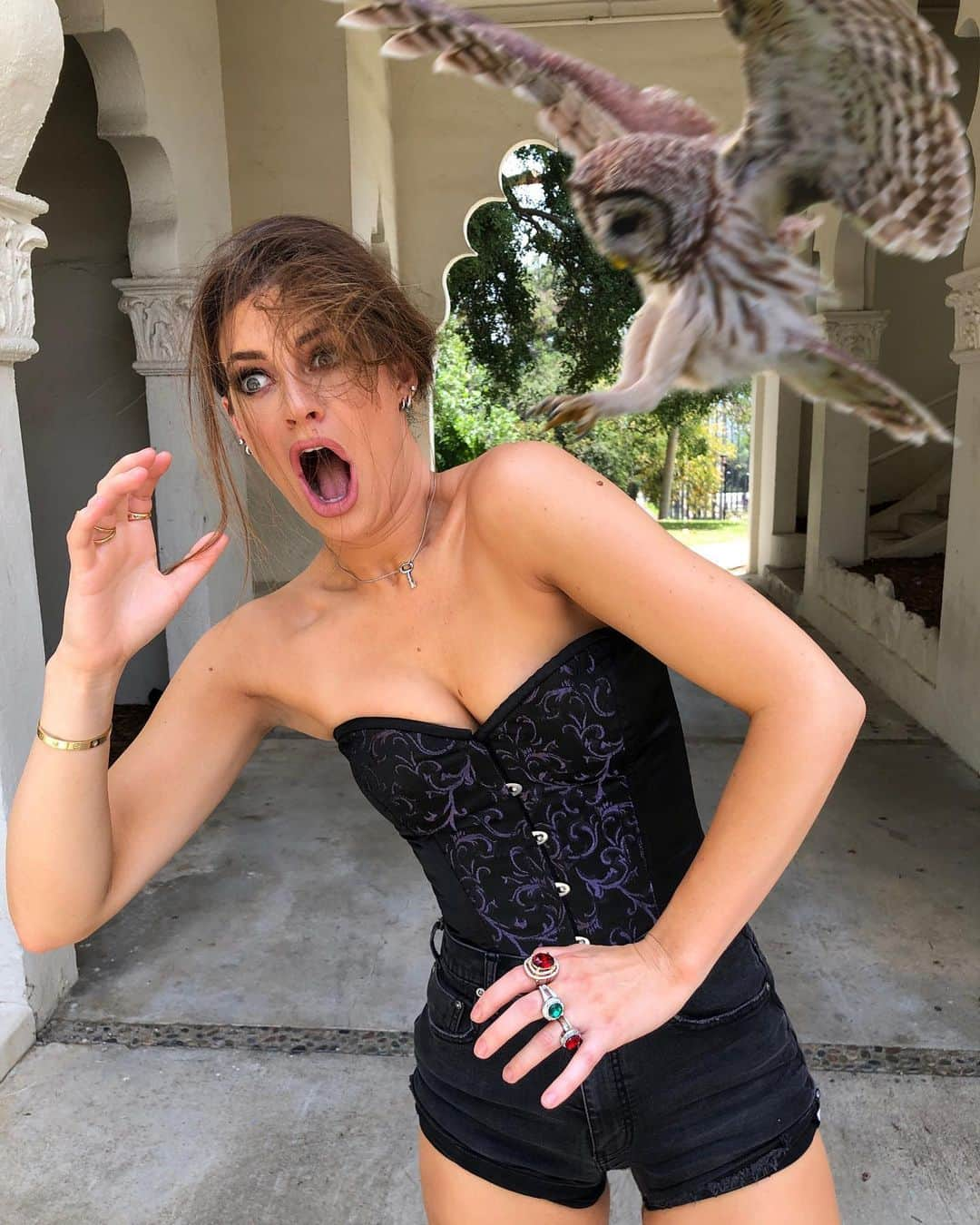 Hannah Stockingさんのインスタグラム写真 - (Hannah StockingInstagram)「Comment when you see it.... and swipe for a surprise 🤯🦅」6月19日 4時36分 - hannahstocking