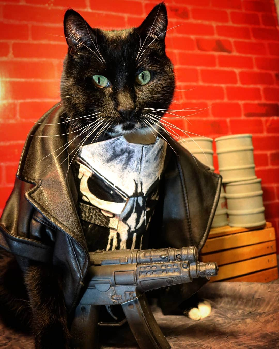 猫コスプレさんのインスタグラム写真 - (猫コスプレInstagram)「"You're one empty food bowl away from being me." ~ Frank Cat'sle  #ThePunisher #frankcastle . . . . . . . . . . #catcostume #CatCosplay #cosplay #frankcastlecosplay #punisher #punishercosplay #marvel #marvelcosplay #cosplayersofinstagram #cat #bestdressedcat」6月19日 4時47分 - cat_cosplay