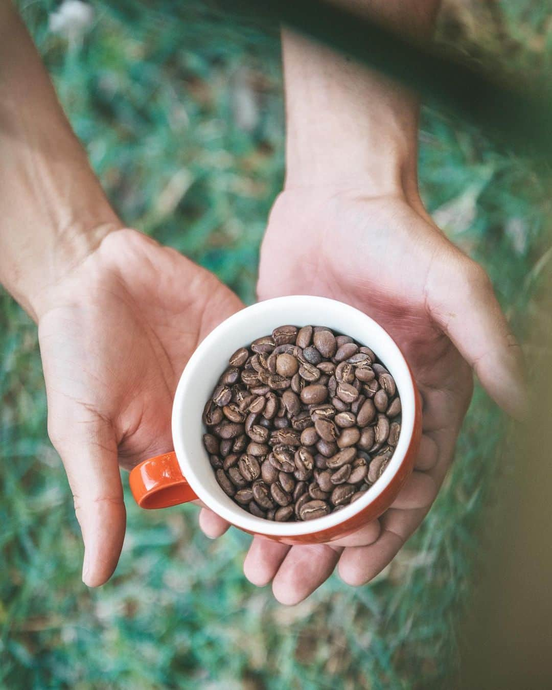 Punchbowl Coffeeさんのインスタグラム写真 - (Punchbowl CoffeeInstagram)「Freshly roasted coffee available at 234 Beachwalk Drive ☕️ We are in the middle Waikiki, look for the truck and boutique located in the back of a parking lot🌴 234 Beachwalk Drive 10am-8:30pm . . . . . . #waikiki #hawaii #alamoana #coffee #cafe #punchbowl #crusininparadise #beach #surf #art #film #nikon #f3 #kodak800 #hario #syphon #hariojapanph #origamicup」6月19日 5時26分 - punchbowlcoffee