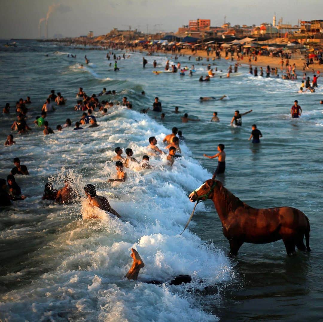 NBC Newsさんのインスタグラム写真 - (NBC NewsInstagram)「A man washes his horse in the waters of the #Mediterranean Sea as people swim on a hot day in the northern Gaza Strip. . 📷 Mohammed Salem / @reuters」6月19日 5時29分 - nbcnews