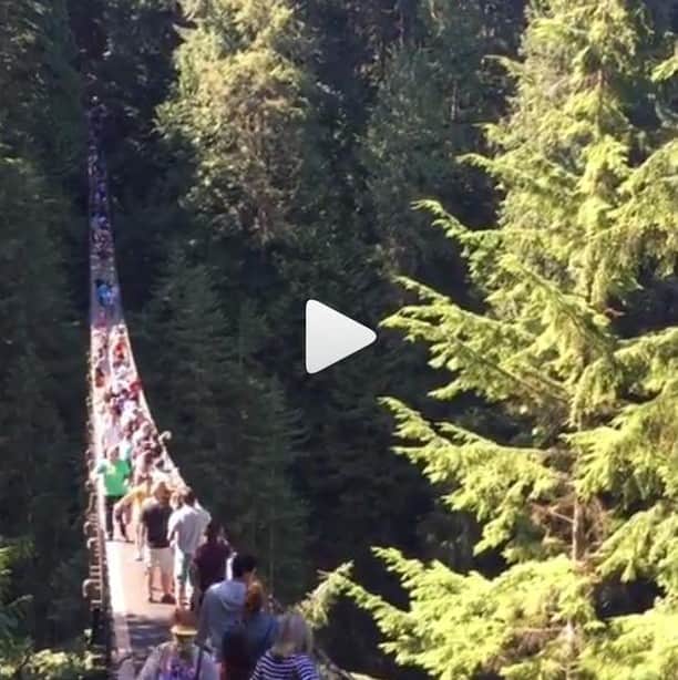 バンクーバー観光局- Tourism Vancouverさんのインスタグラム写真 - (バンクーバー観光局- Tourism VancouverInstagram)「青い空と豊かな緑に囲まれたキャピラノ吊り橋はノースバンクーバーの人気スポット。年間約120万人以上が訪れるといわれています。﻿ 📷 : @_iam___z_(Instagram)﻿ .﻿ .﻿ .﻿ #カナダ #バンクーバー #Vancouver #旅 #旅行 #女子旅 #旅好き #一人旅 #海外旅行 #トラベル #旅女子 #旅行好きな人と繋がりたい #旅好きな人と繋がりたい #旅行好き #旅行大好き #旅行行きたい #旅に出たい #海外 #旅の記録 #旅の思い出 #旅行記 #旅したくなるフォト #マイトリップ #キャピラノ吊り橋 #retrip_global #風景 #世界一周 #ダレカニミセタイケシキ #観光地 #観光スポット﻿」6月19日 6時00分 - vancouvertabi