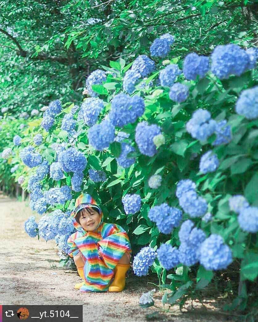 兵庫県のインスタグラム