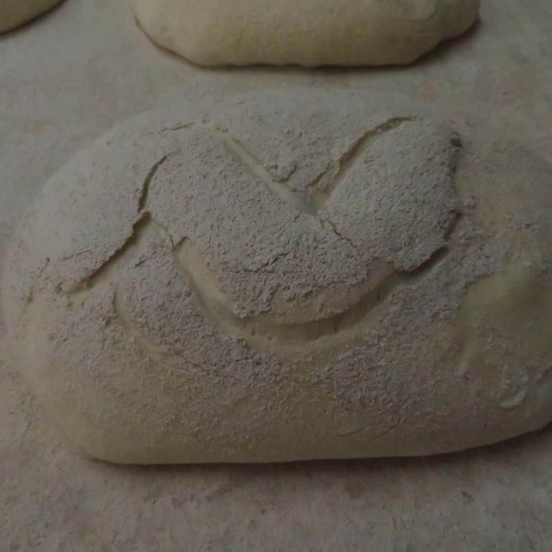 魔女菅原さんのインスタグラム写真 - (魔女菅原Instagram)「バタール・コルドン、製造工程もよかったらご覧くださいね😉 小麦粉のハード系パンで油脂や砂糖は一切使っていない、素朴なパンです。 かるくトーストしたらオープンサンドやチーズフォンデュなど、いろんな食べ方ができるパンです。  #バタールコルドン #ハード系パン #オイルフリー #自家製天然酵母のパン屋さんカンパーニュ #魔女菅原」6月19日 11時38分 - hatsuyosugawara