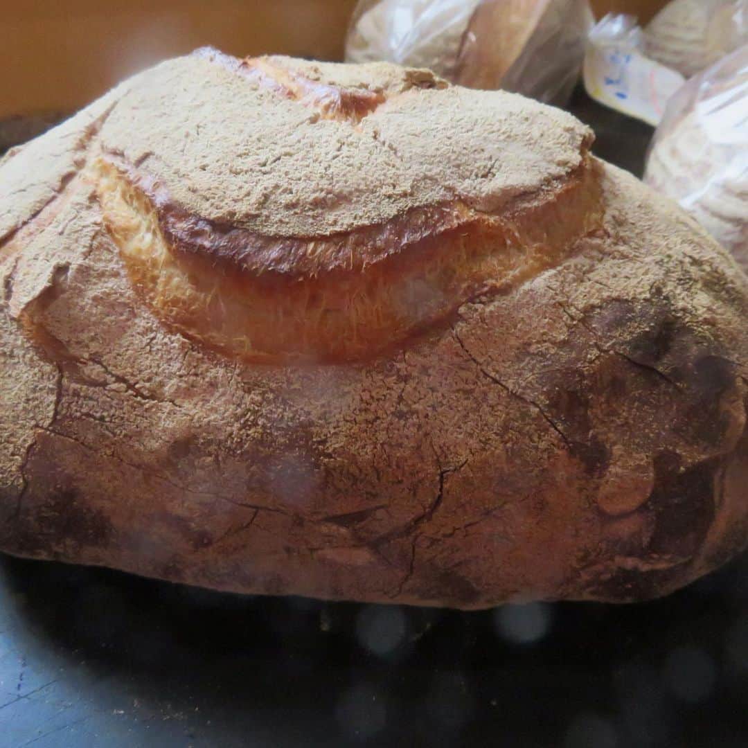 魔女菅原のグルメインスタ