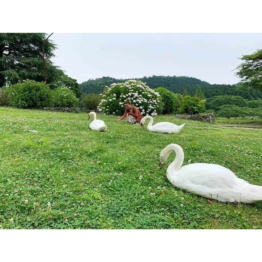 YU-U（工藤由布）さんのインスタグラム写真 - (YU-U（工藤由布）Instagram)「大分2日目🐾🌱 朝食もすごい美味しくて🤤 お宿の温泉も気持ちよくて朝から3つ入った🤣 そしてすこーし地獄めぐり♨️ 岡本屋のプリン🍮とよ常の天丼&とり天🍤 グローバルタワーに登ったり🗼 志高湖🦢も楽しかったなぁ🚣‍♂️ 大満足な大分の旅👐🏻また来るね👋🏻 ・・・ #u大分の歩き方 #地獄めぐり #岡本屋プリン #とよ常 #グローバルタワー #志高湖 #由布乃庄」6月19日 6時22分 - nyan22u22nyan