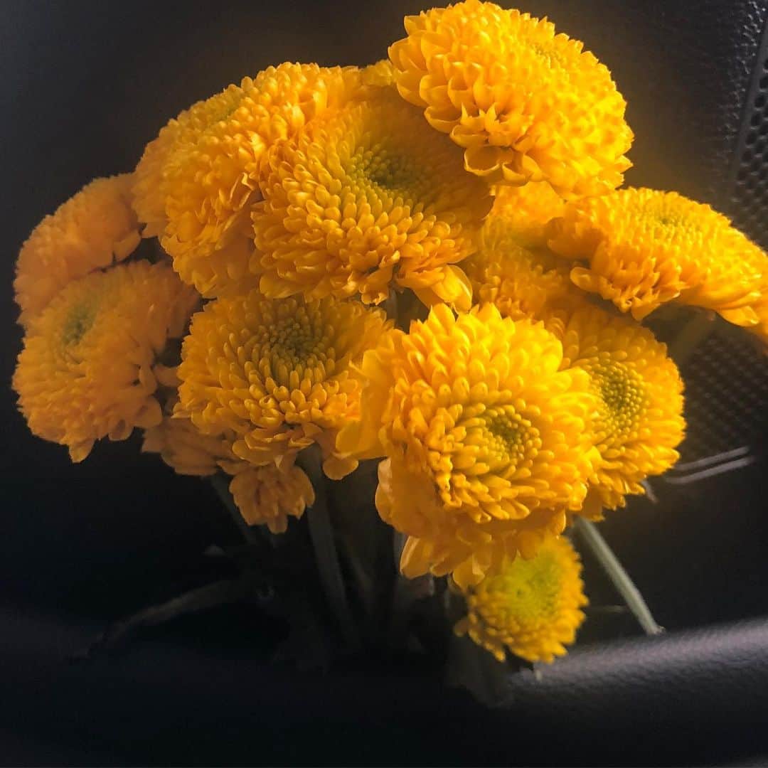 Halseyさんのインスタグラム写真 - (HalseyInstagram)「things that make me smile: my driver dean always puts fresh flowers in the car when I have a long day of stuff to do. It’s the sweetest thing. and a lady bug landed on me today. 😋🌼🐞」6月19日 6時45分 - iamhalsey