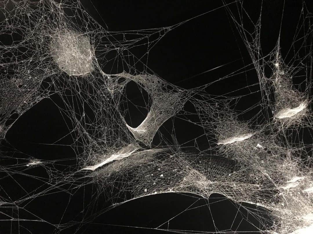 水原希子 さんのインスタグラム写真 - (水原希子 Instagram)「Spider/web🕸Tomás Saraceno at Venezia Biennale 2019」6月19日 7時06分 - i_am_kiko