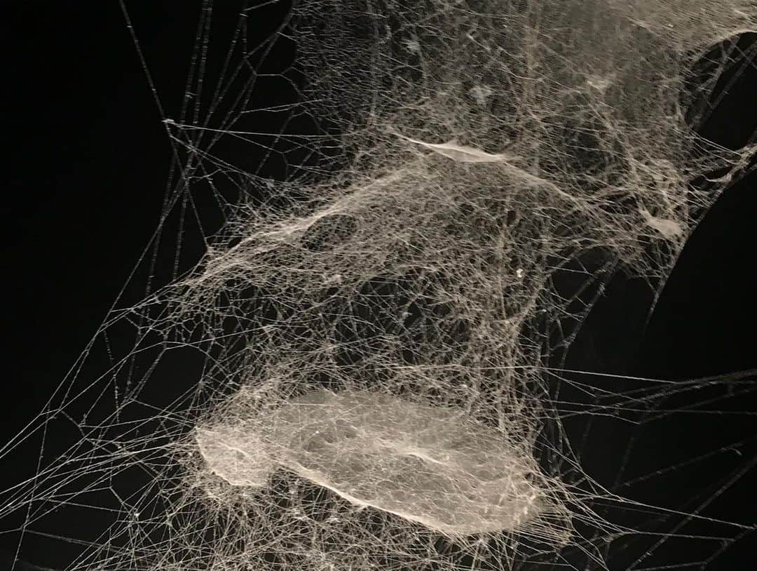 水原希子 さんのインスタグラム写真 - (水原希子 Instagram)「Spider/web🕸Tomás Saraceno at Venezia Biennale 2019」6月19日 7時06分 - i_am_kiko