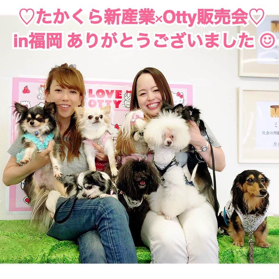 大原かおりさんのインスタグラム写真 - (大原かおりInstagram)「🐶💕 土日に開催した、福岡での販売会♡ たかくら新産業の千葉さんと一緒に沢山の可愛いワンちゃんに囲まれて、とっても楽しく癒されながらの時間を過ごすことが出来ました🤗🐶💕 お越し頂いたパパ&ママさん、本当にありがとうございました❤️ ☺︎ 想像していた以上に沢山のお客様が来てくださり、途中完売してしまった商品もありました😭🙏 ご注文頂いた商品は精魂込めて梱包し、早めに発送させてもらいますので少々お待ちくださいませ🙇‍♀️💓 ☺︎ そしてワンちゃんのイベントをするのに1番大変なのが会場探し。 今回は天神にある『みらいクリエイトさん』が会場を貸してくださりイベントを開催する事が出来ました🐶💕 心から感謝しています☺️✨ 本当にありがとうございました🙏 ☺︎ この写真は、チャンプちゃん・アミューちゃん・ジルちゃん・銀次郎ちゃん・愛華羽ちゃん・シロちゃん・クロちゃん・ラブちゃん🐶🐶🐶✨ 集合写真撮影楽しかった〜👯‍♀️🎶w また秋にも開催させて頂けたら嬉しいです❤️ * #福岡 #天神 #みらいクリエイト #たかくら新産業 #ティーツリーシャンプー #オーガニック #Otty #オッティ #新作商品 #受注会  #ペットイベント #イベント #写真 #プードル #チワワ #ダックス #シーズー #ありがとうございました #🐶 #😸 #🎟 #❤️」6月19日 9時00分 - oharagaori_otty