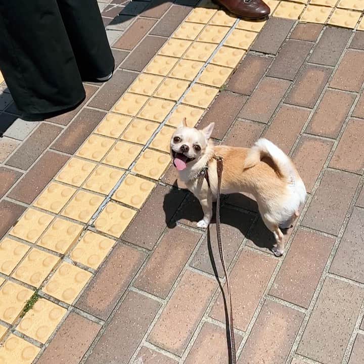 巴田みず希のインスタグラム